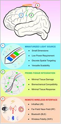 Microscale Inorganic LED Based Wireless Neural Systems for Chronic in vivo Optogenetics